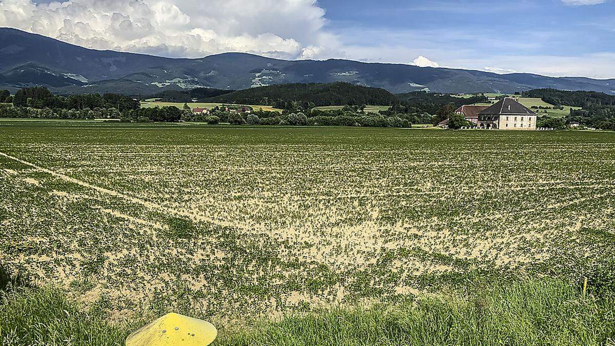 Seitens des Stiftes St. Paul sollen 18,7 Hektar Fläche für den Technologiepark zur Verfügung gestellt werden