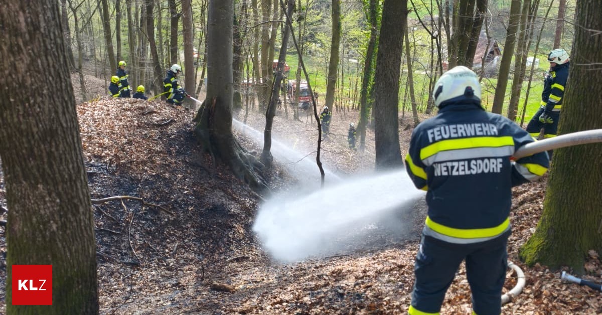 Mehr-als-80-Feuerwehrkr-fte-k-mpften-im-Wald-gegen-Flammen