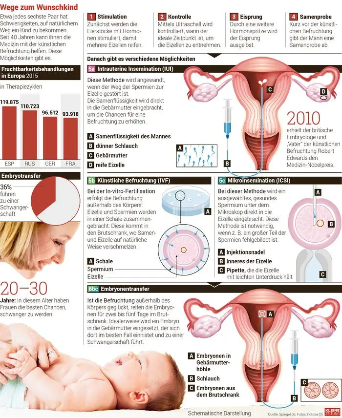 Methoden zur künstlichen Befruchtung 
