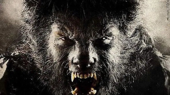 Werwolf oder Reißwolf?