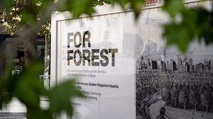 2019 soll im Klagenfurter Stadion ein Wald wachsen. Wo die 200 Bäume danach eine neue Heimat finden, ist noch unklar