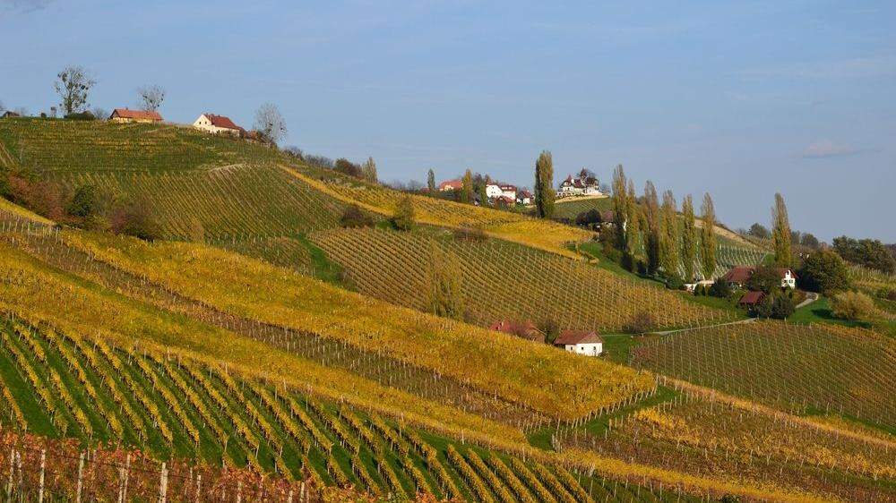 Die exakte Bezeichnung und Abgrenzung der besten Lagen im steirischen Weinbau sorgt für Wirbel