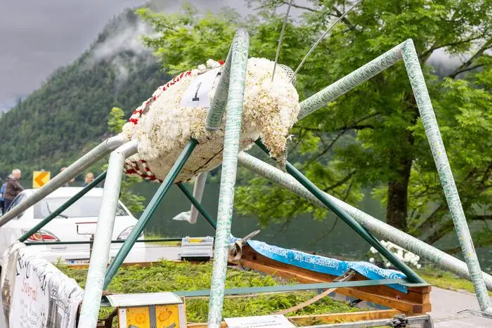 Der Wasserläufer ist heuer erstmals dabei