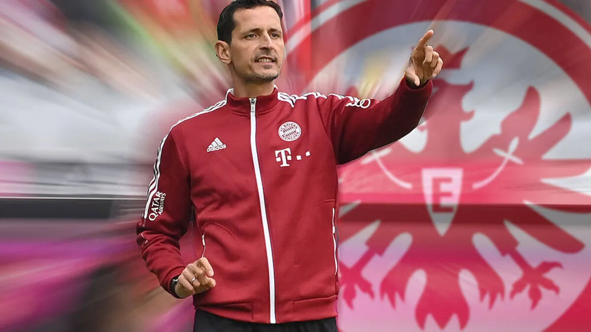 Dino Toppmöller trainiert ab sofort die Frankfurter Eintracht