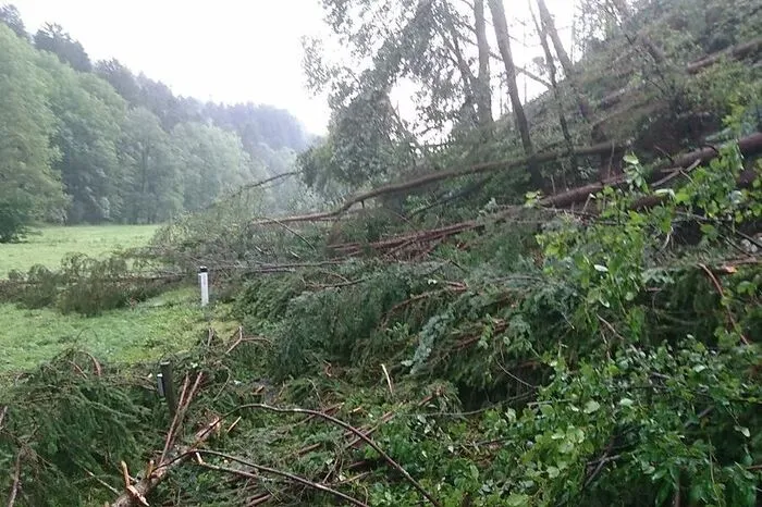 Die Unwetter in der Nacht auf Freitag, dem 11. August,  entwurzelten im Bezirk zahlreiche Bäume. Auf der L 423 war der Windwurf so gewaltig, dass die Straße für mindestens eine Woche gesperrt werden muss. Auch im übrigen Bezirk wütete der Sturm.