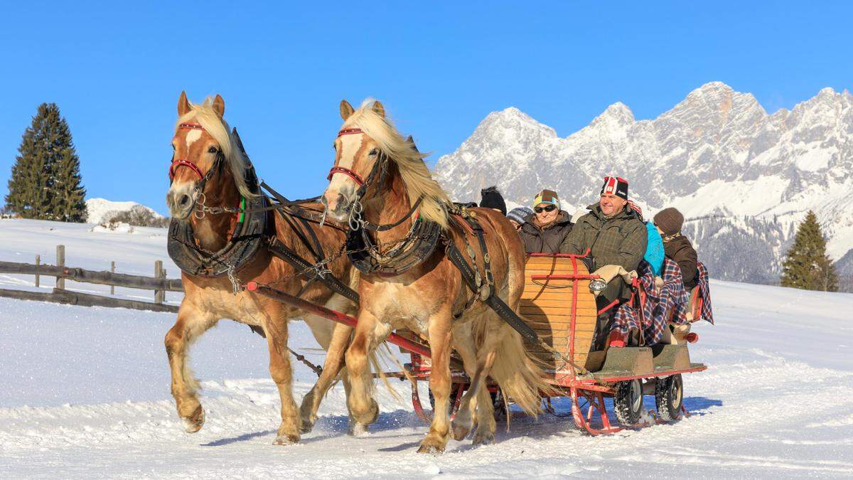 In Schladming kann die Winterlandschaft bei einer Pferdeschlittenfahrt genossen werden