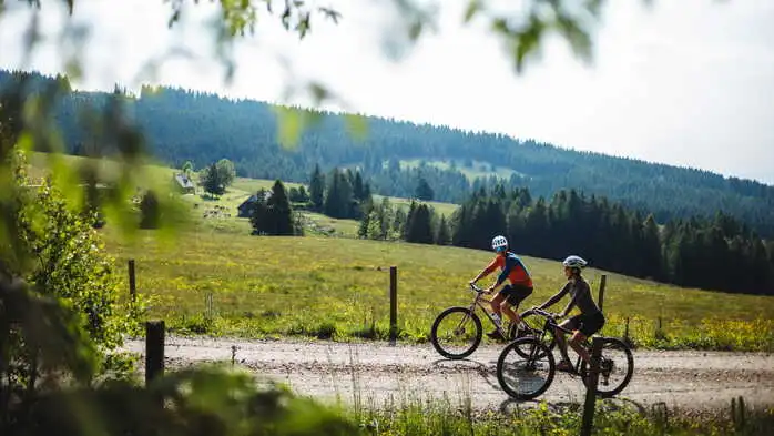 Zwei Radfahrer in der Natur am Radweg