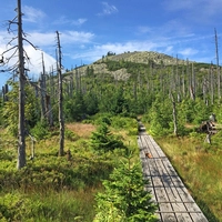 Der Himmelsleiter-Weg auf den Lusen im Nationalpark Bayerischer Wald