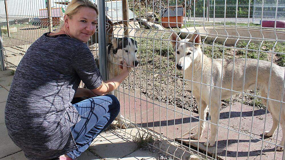 Die Tierheimleiterin Nina Mocnik mit einigen der 24 Huskys, die im August abgenommen wurden
