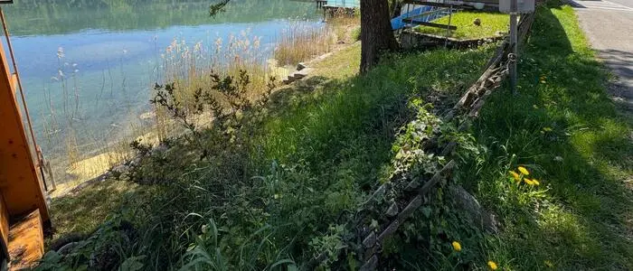 Seitlicher Blick auf ein Seegrundstück, auf dem ein Baum steht