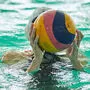 Missbrauchsskandal im US-amerikanischen Wasserball
