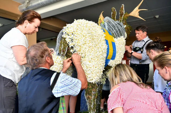 Im Gegensatz zum Seesaibling war diese tierische Blütenskulptur weit angereist: Ein Elch, erstmals von schwedischen Teilnehmern gesteckt.