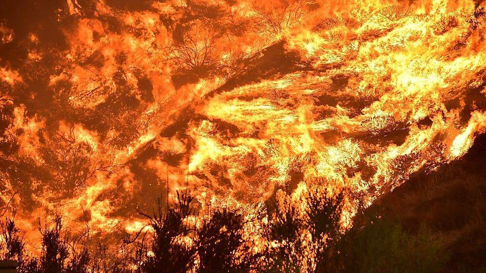 In Kalifornien wütet das größte Feuer der Geschichte