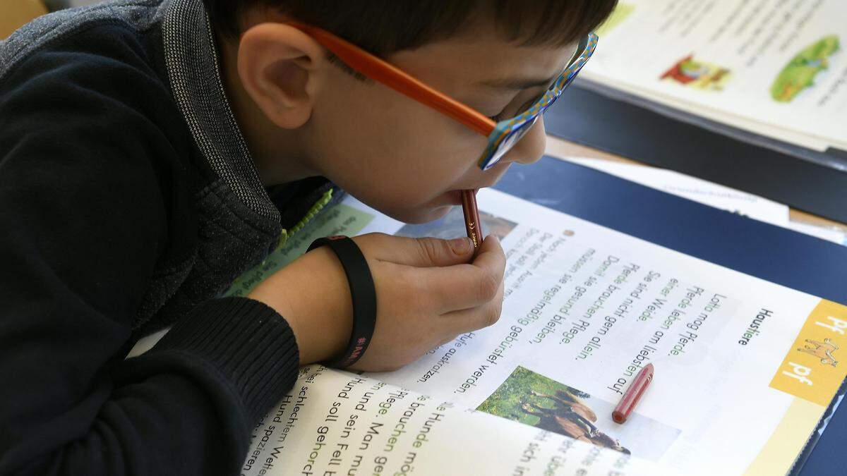 Volksschüler liest Buch | In den Volksschulen steigen die Schülerzahlen schon seit 2016