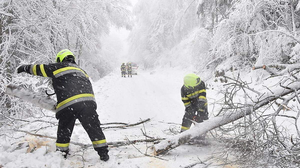 Im November gab es erneut Einsätze wegen Schneebruchs - hier auf der Stolzalpe