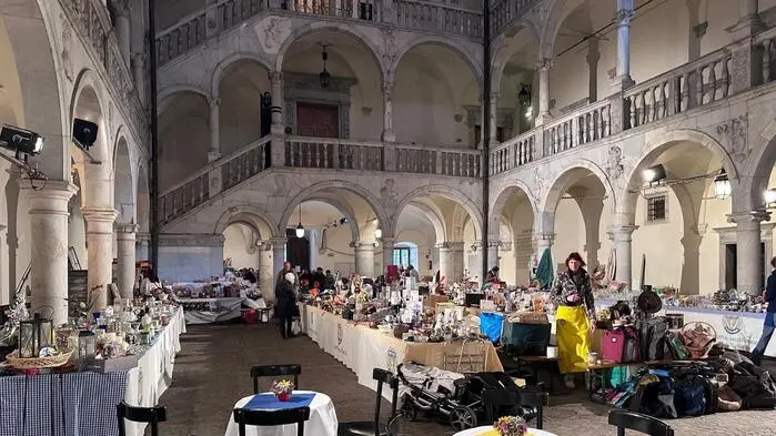 Der Soroptimist Club Spittal Millstättersee bittet um  Sachspenden für den Flohmarkt im Schloss Porcia