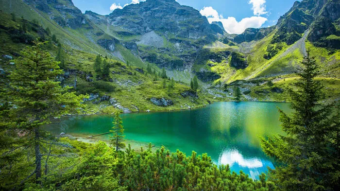 Die Grundbesitzer des Wandergebietes rund um den Moaralmsee haben sich als „Vorsichtsmaßnahme“ vor etwaigen Klagen zu einem Hundeverbot entschieden. Beim Tourismusverband ist man dementsprechend wenig erfreut.