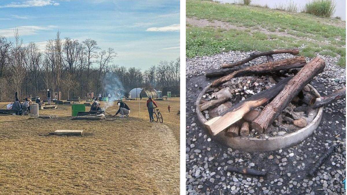 &quot;Bis zu 1500 Leute&quot; feiern und grillen pro Tag in den Auwiesen – einzelne &quot;bedienen&quot; sich dafür gar beim angrenzenden Wald