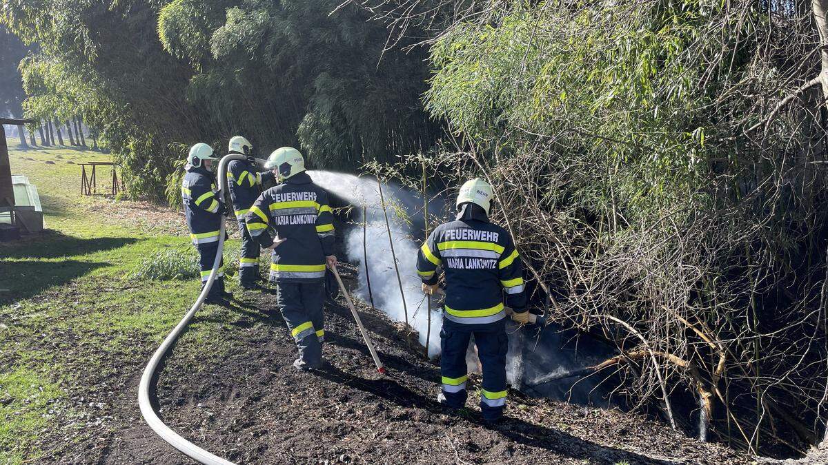 Die Asche eines Heizofens war der Auslöser für einen Waldbrand im Ortsteil Puchbach, Gemeinde Maria Lankowitz