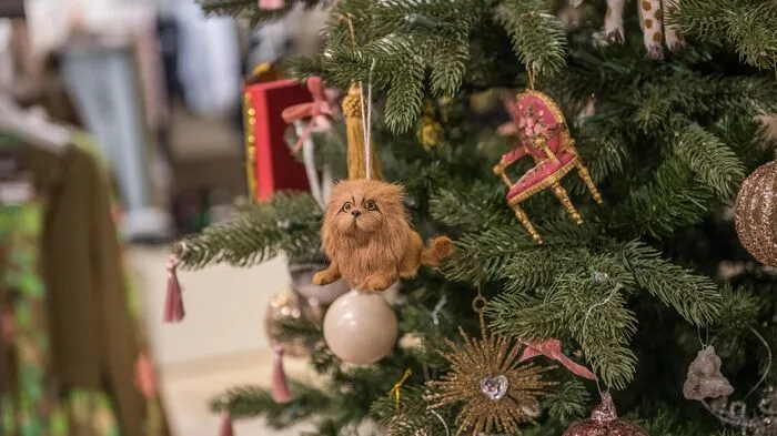 Es weihnachtet im Zentrum der Landeshauptstadt - und da darf für viele der Einkaufs-Wahn nicht fehlen.
