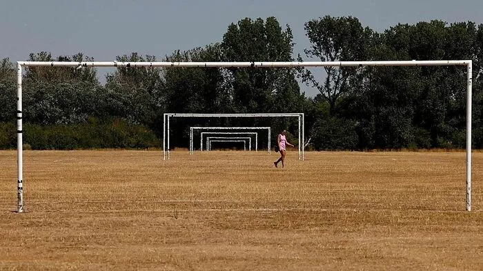 In England wurde in einigen Regionen im Südwesten der Dürre-Notstand ausgerufen. Verbranntes Gras, wie hier in einem Feld nahe London, ist keine Seltenheit.
