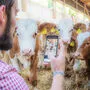 viehworld will den Nutztierhandel revolutionieren