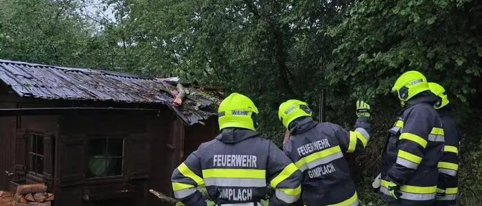Bei einem Unwetter im Juni fällte der Sturm im Bezirk Leoben zahlreiche Bäume
