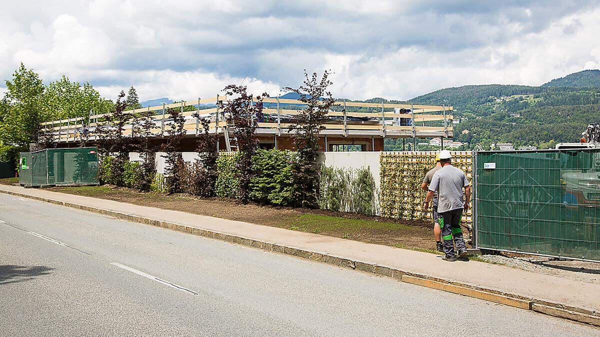 Dort, wo früher diese Bäume standen, wird bereits gebaut. Laut Baubescheid entstehen ein Badehaus samt Carport und Geräteschuppen