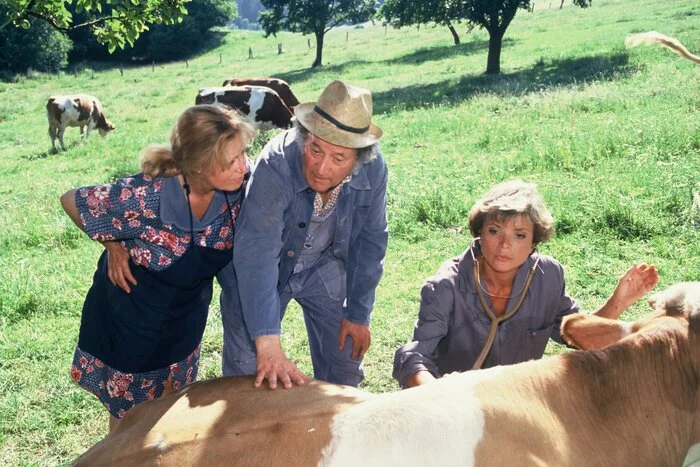 „Tierärztin Christine“. Uschi Glas, die auch für das Drehbuch verantwortlich war, in der Titelrolle