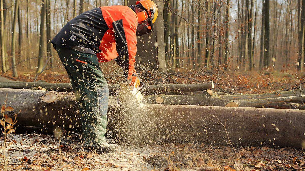 Ein Arbeiter wurde am Oberarm schwer verletzt (Symbolfoto)