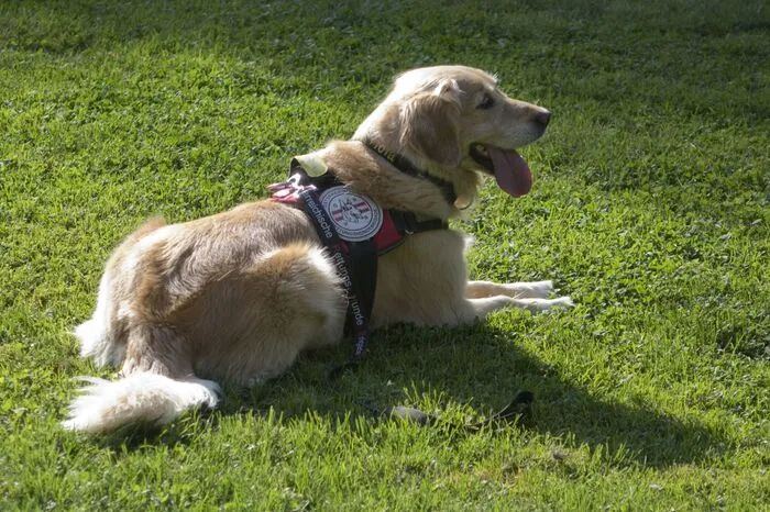 Viele Hundebesitzer folgten der Einladung an diesem spätsommerlichen Nachmittag. Für Speis und Trank für Hunde, Frauchen und Herrchen war ebenfalls bestens gesorgt.
