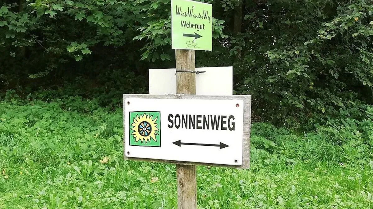 Am Stanzer Sonnenweg gibt es viel zu entdecken – seit Kurzem auch eine neue Skulptur.