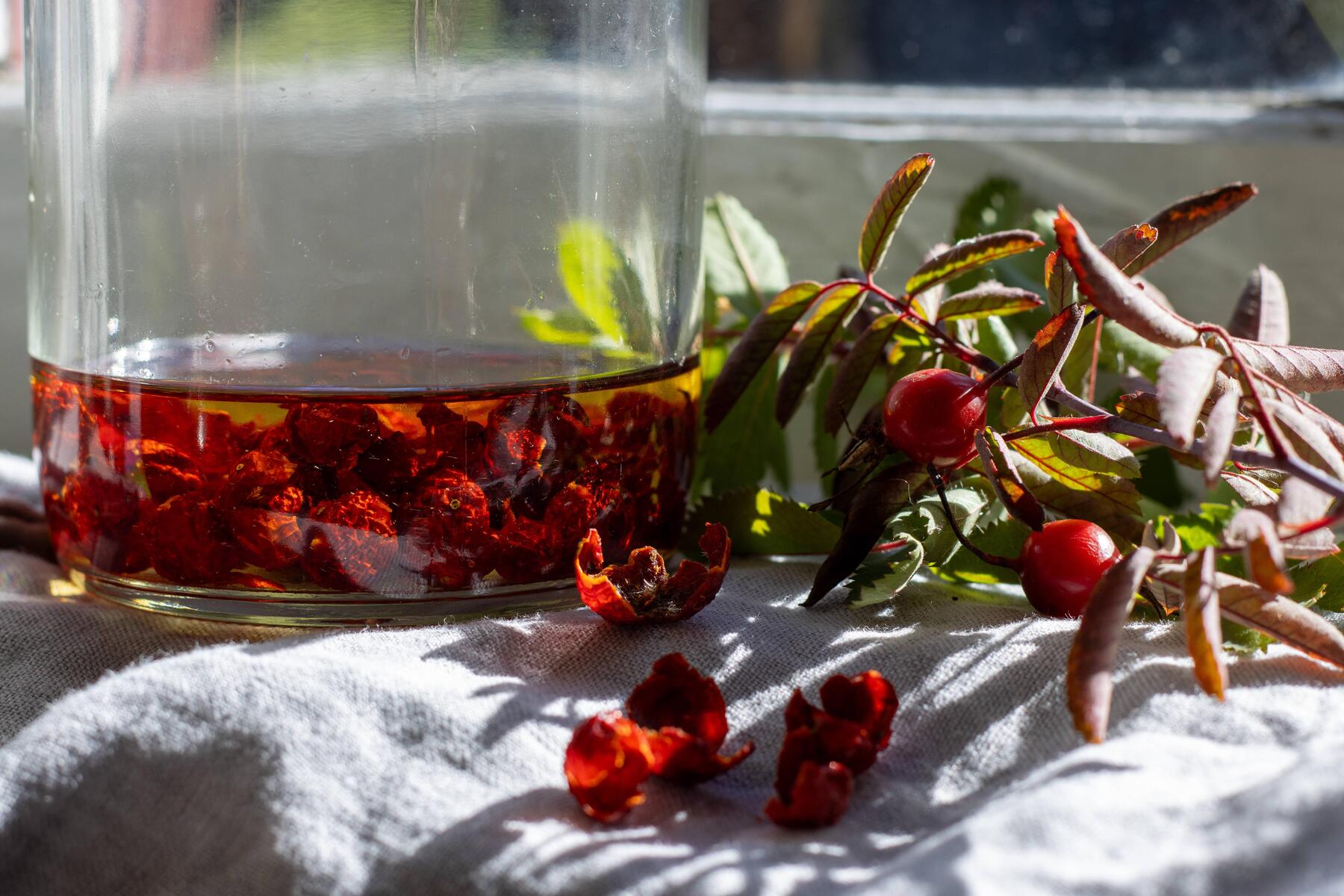 Arzt vor Gericht: „Katzenkralle kann so ziemlich alles - auch Krebs heilen“