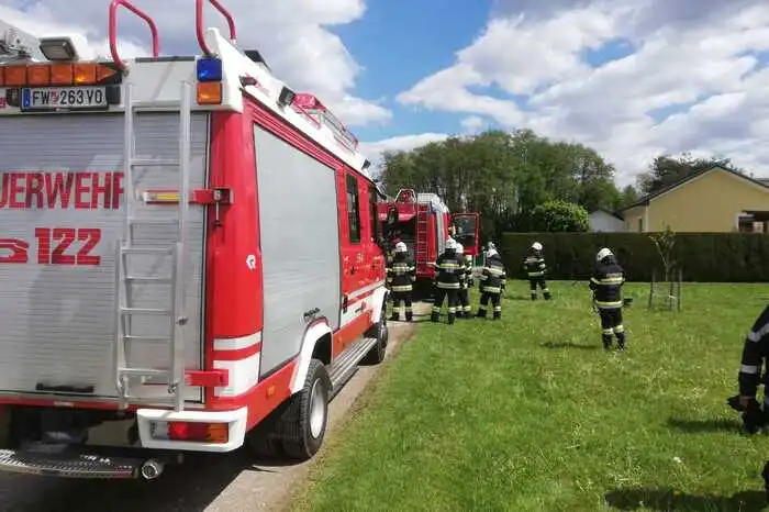 Dabei fing die Hecke Feuer.