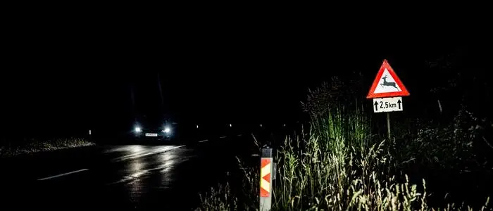 Wildwechsel war laut dem Autolenker der Auslöser für seinen Unfall (Symbolfoto)