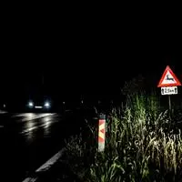 Wildwechsel war laut dem Autolenker der Auslöser für seinen Unfall (Symbolfoto)