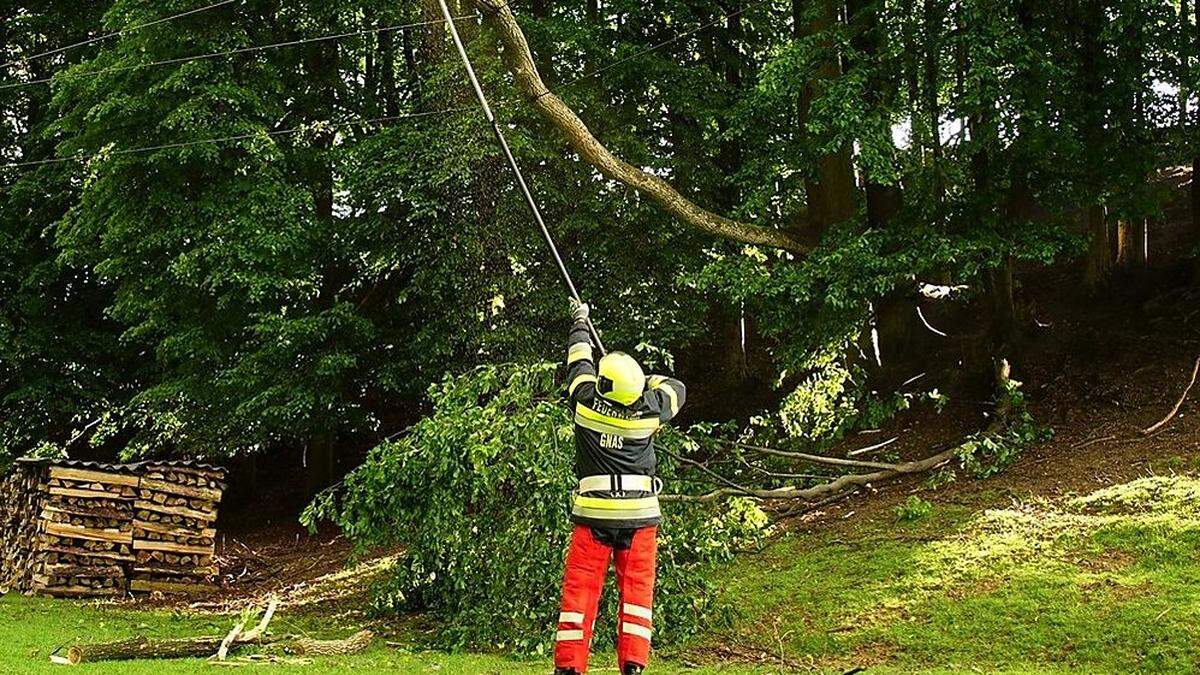 Aufräumarbeiten im Gehege