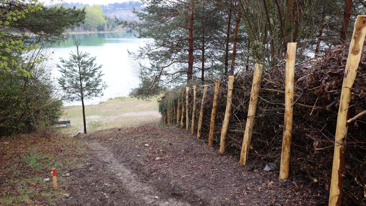 Am Silbersee gibt es einen Hundestrand