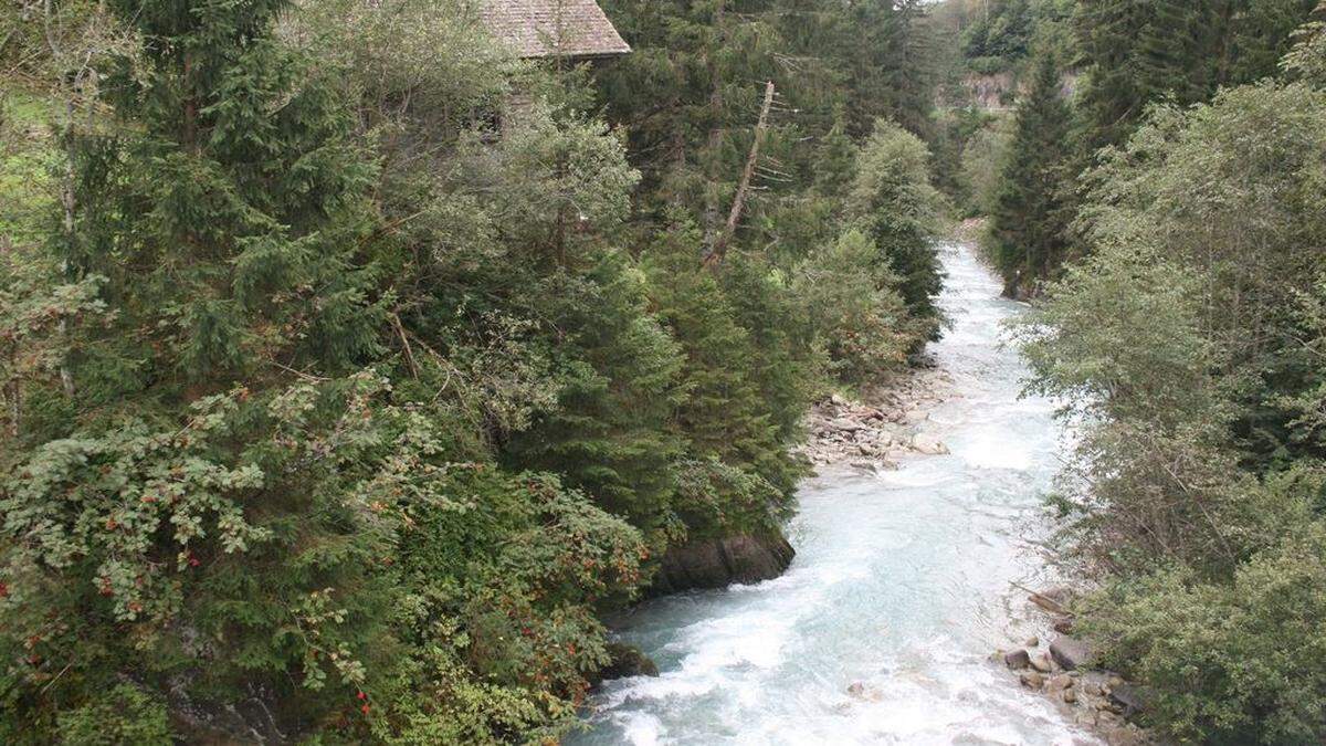 Immer wieder heftig umstritten ist bei der Natura 2000-Ausweisung in Osttirol das Aussparen großer Tamriskenbestände am Kalserbach 