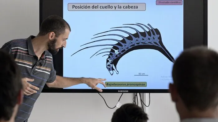 Die Dinosaurier hatten enorme Stacheln am Hals, die teils mehr als einen Meter lang waren. Der Paläontologe Pablo Gallina und sein Team fanden Überreste eines Tiers in der Region Patagonien, wie die Forscher im Fachmagazin "Scientific Reports" schreiben.  