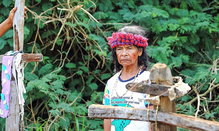 ORFDokumentation Die Guaraní und ihr aussichtsloser Kampf