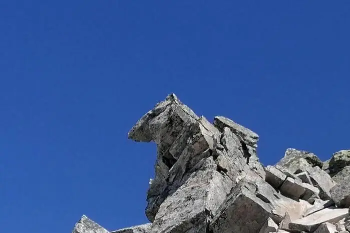 Eva Holzer aus Matrei schickte uns diesen Bärenkopf. Zu sehen ist er im Tauerntal in Osttirol