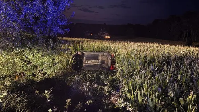 Mehrere Personen waren mit an Bord, jedoch wurde nur die Fahrzeuglenkerin verletzt
