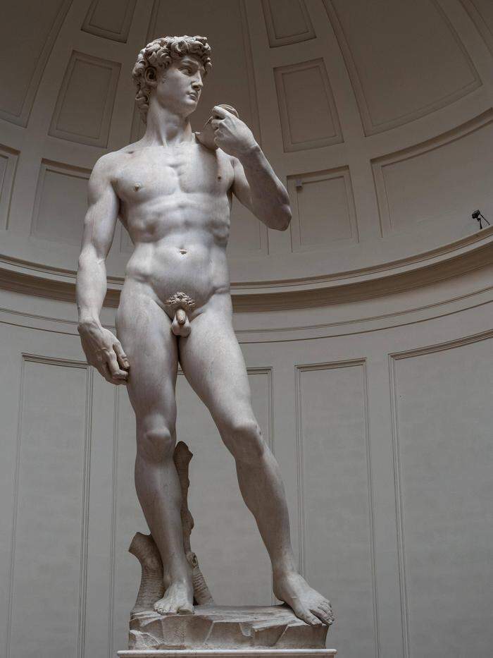 Ein Stein des Anstoßes: Michelangelos "David"