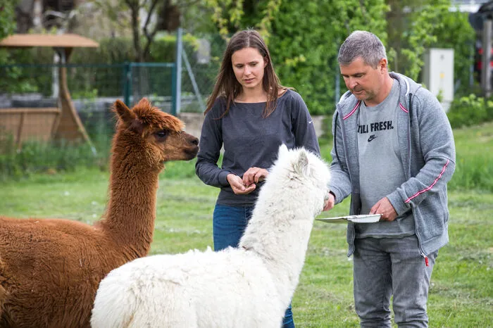 Klicken Sie sich durch die flauschigen Schnappschüsse!