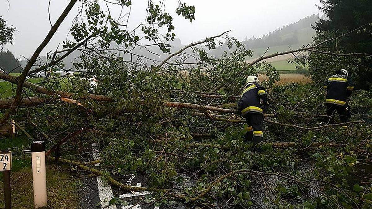 Bei Reichenfels verlegten umstürzende Bäume Zufahrtsstraßen