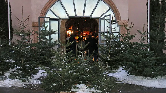 Zumindest die Bäume hatten es in Bruck tief winterlich