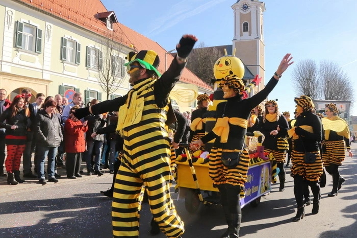 Platz zwei ging an Willy's tolle Volley-Bienen vor der Feuerwehrjugend, die mit einem eigenen Löschfahrzeug auffuhr. Organisiert wurde der Faschingsumzug vom Roten Kreuz gemeinsam mit den Gnaser Landsknechten und der Marktgemeinde.