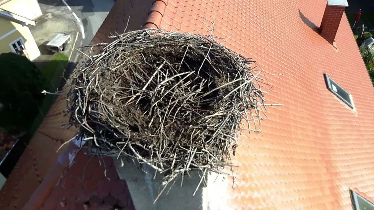 Das Storchennest wurde gereinigt und für den Winter vorbereitet