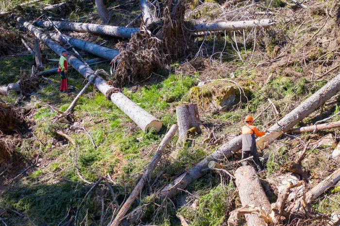 Der Job zählt auch bei Kaiserwetter zu den gefährlichsten überhaupt.